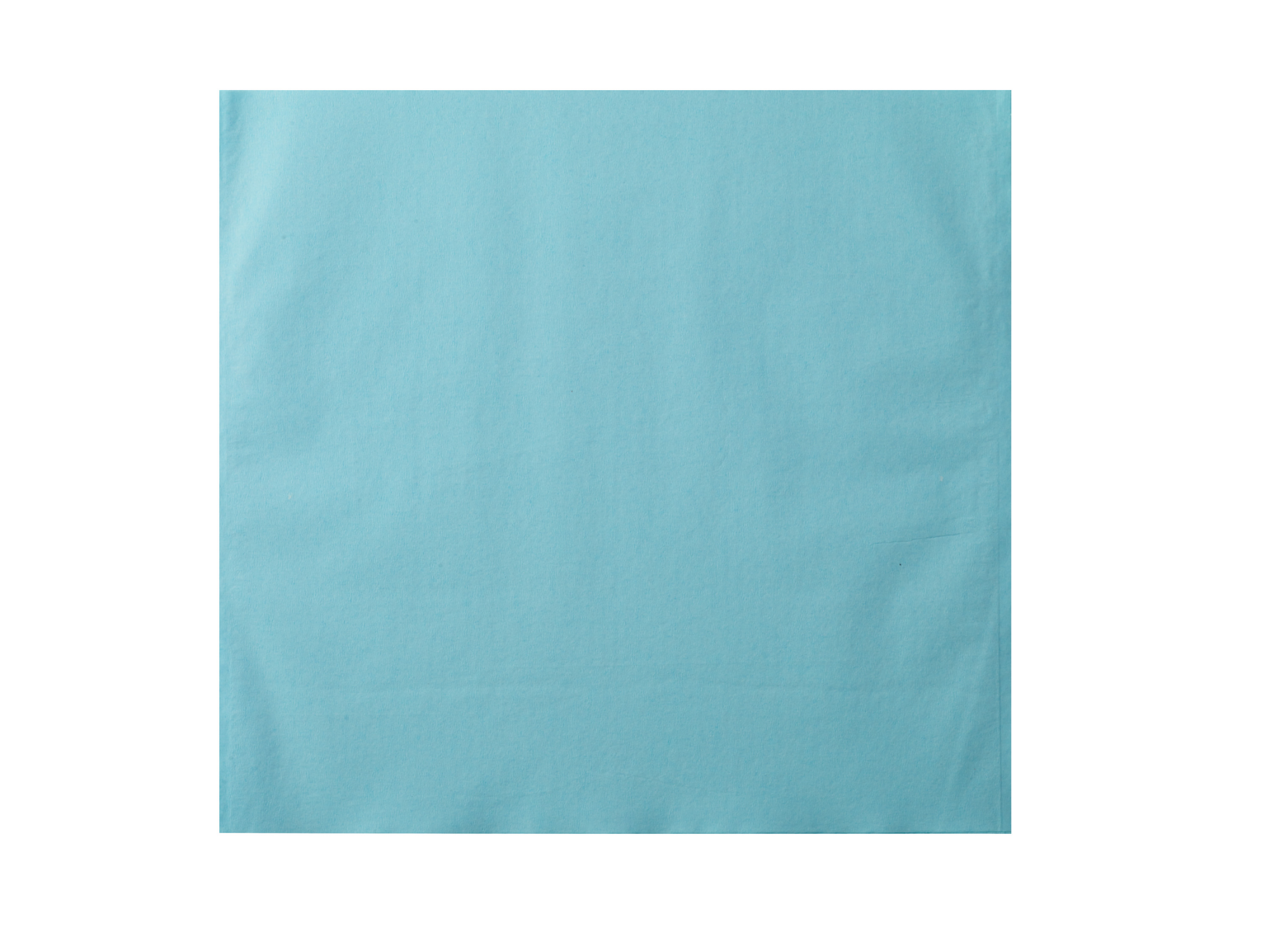 Monoart_copritestiera_dentale_azzurra_aperta