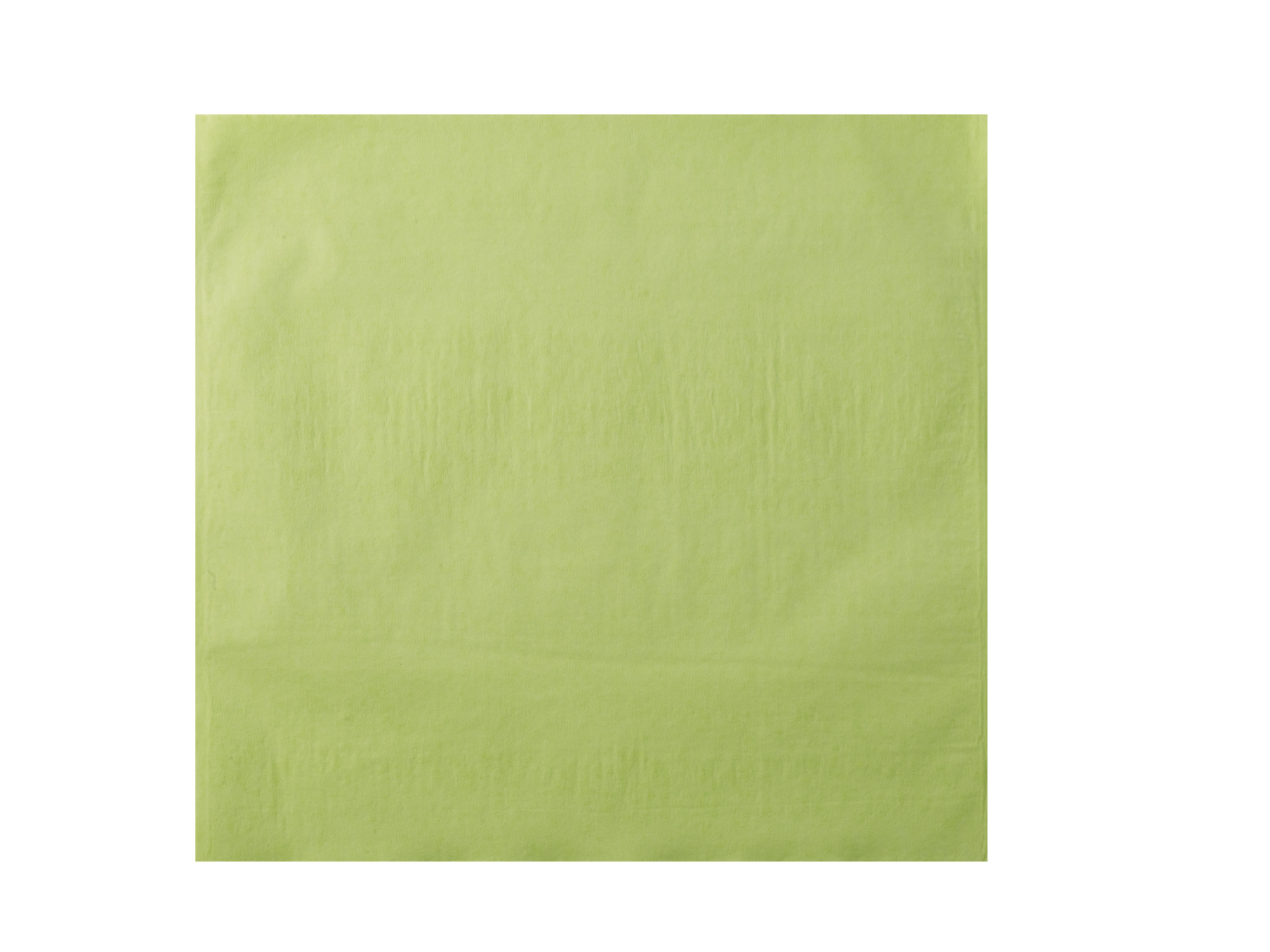 Monoart_copritestiera_dentale_lime_aperta_Z